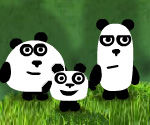 3 Pandy
